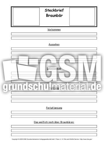Braunbär-Steckbriefvorlage.pdf